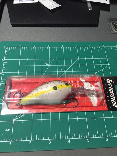 Livingston dive master - dive,