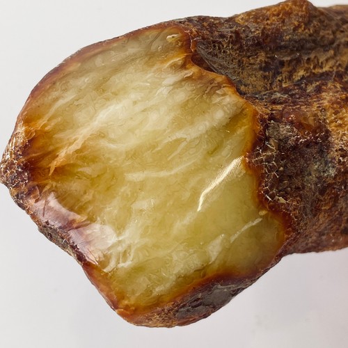 Raw baltic amber stone - baltic,