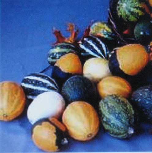 Gourds seeds large - gourds, *