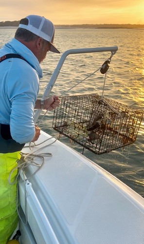 Rod holder open pulley crab - rod,