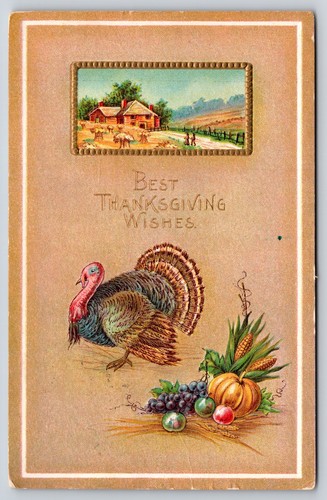 Holiday best thanksgiving - holiday~best,