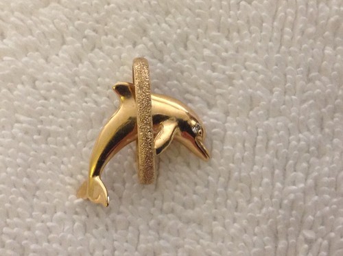 14k wyland dolphin - wyland, eye