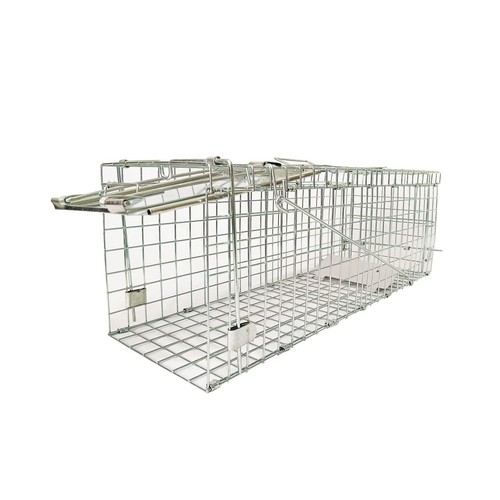 Collapsible humane live animal - live,