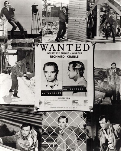 The fugitive david - fugitive,