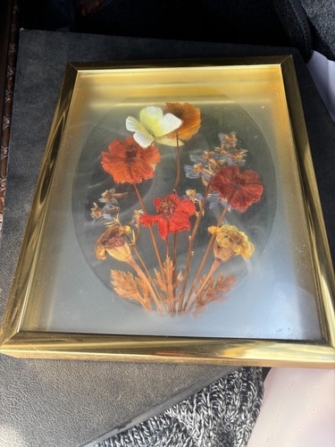 Vintage pressed flower picture - pressed-flower,