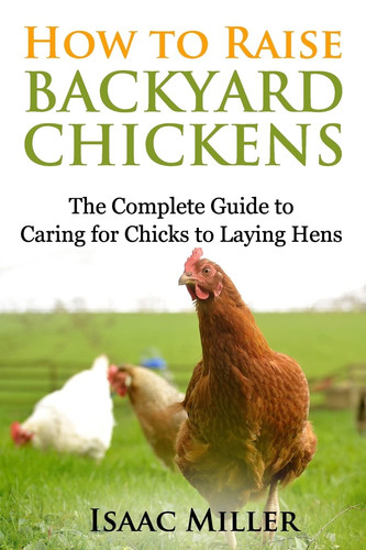 How raise backyard - raise,