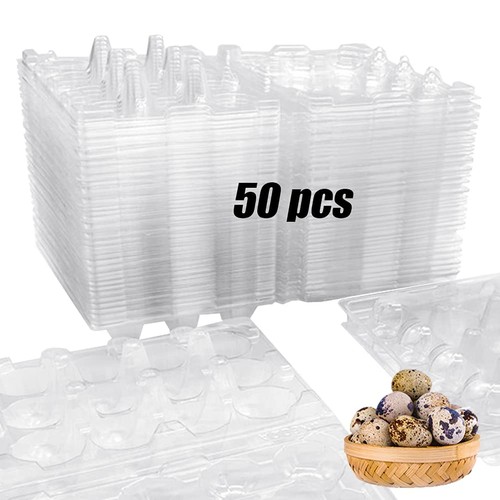 Pcs quail egg - 50,