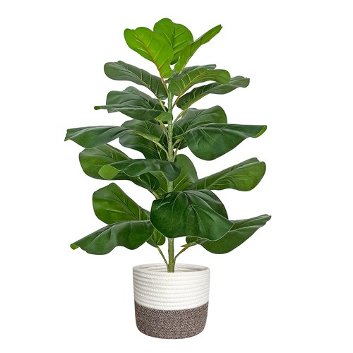 Artificial fiddle leaf - artificial,