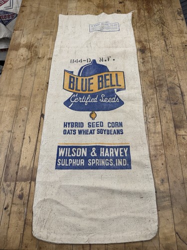 Vintage blue bell - hybrid, seed