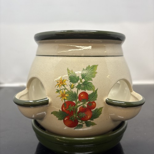 Herb succulent planter ceramic - herb,