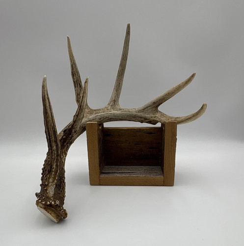 Point mainframe deer antler - 5,