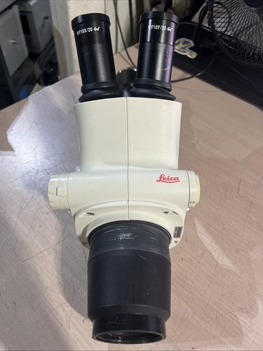 Leica s6d trinocular - leica,