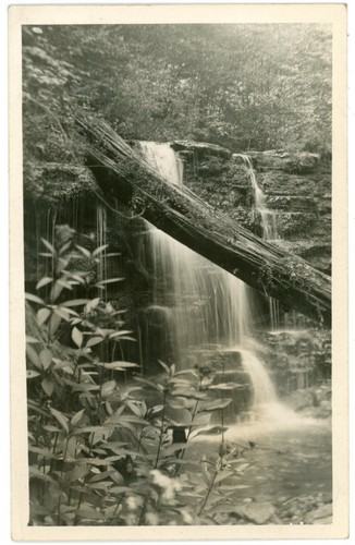 Waterfall woods fallen - woods, tree