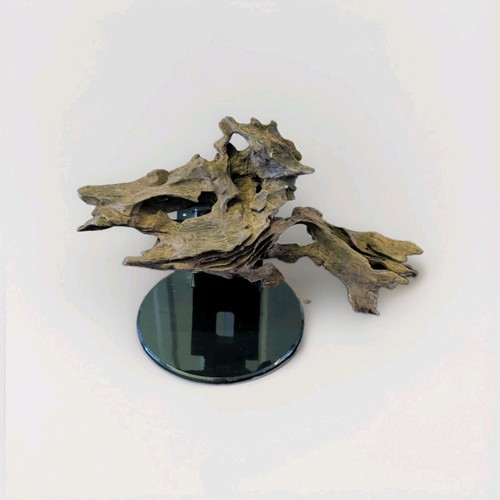 Ghostfin ooak hand carved - –,