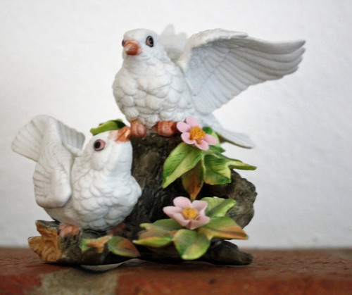 Two gorgeous white - gorgeous,