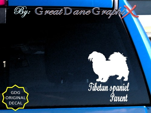 Tibetan spaniel mom dad - spaniel, -mom