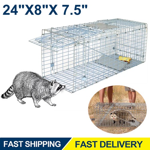 Live animal trap extra large - live,