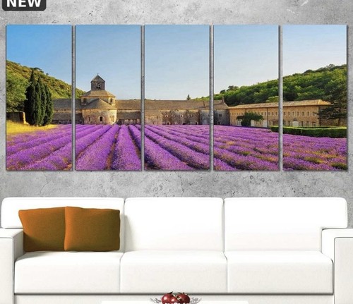 Purple lavender fields - fields, at