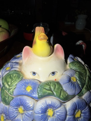 Primrose cat and - , cookie