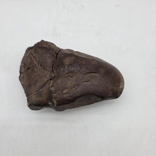 Native american stone - stone, head