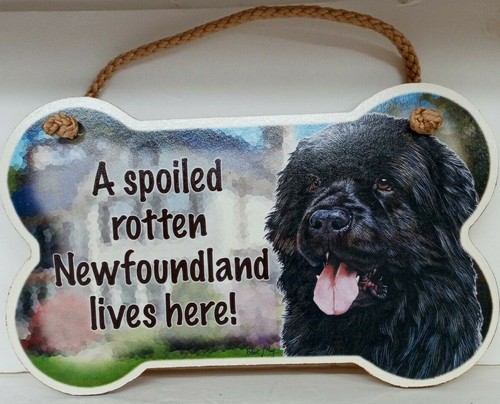 Spoiled rotten newfoundland - spoiled,