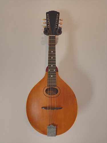 1917 gibson style mandolin - gibson,