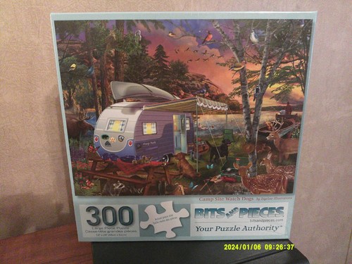 300 format bits - 300,