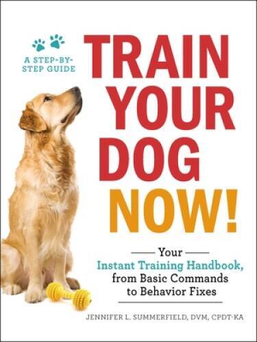Train your dog now - dog, now!: