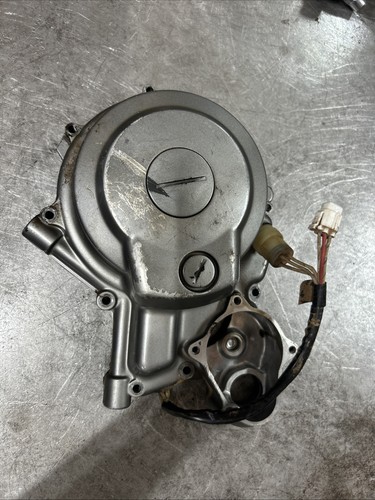 Raptor 660 660r oem - raptor,