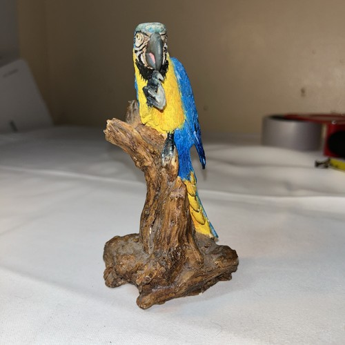 Resin blue and yellow macaw - and,