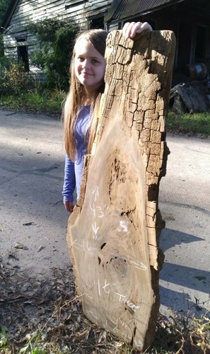 Ebay real burl old growth - real,