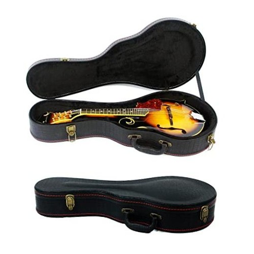 Mandolin hard case - hard,