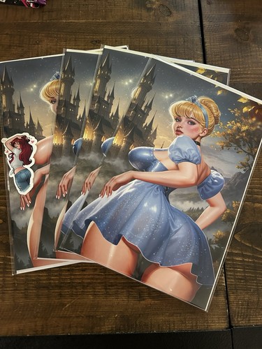 Cinderella cosplay book - cosplay,