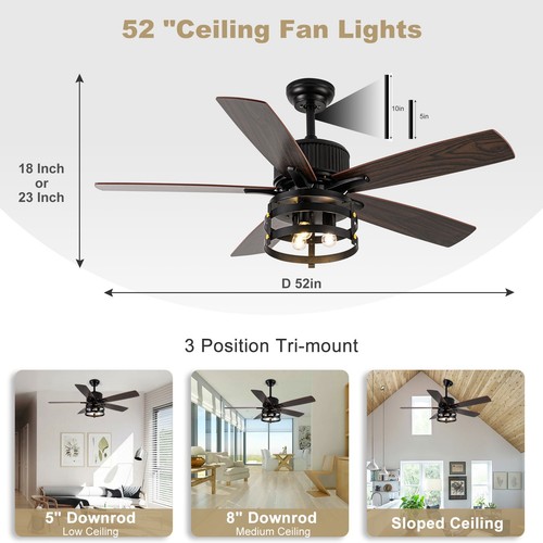 Ceiling fan with light - ceiling, &