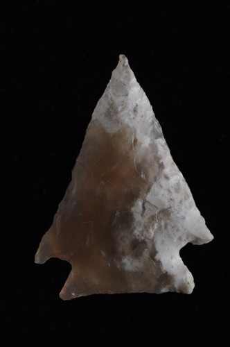 Pelican arrowhead morgan - pelican,