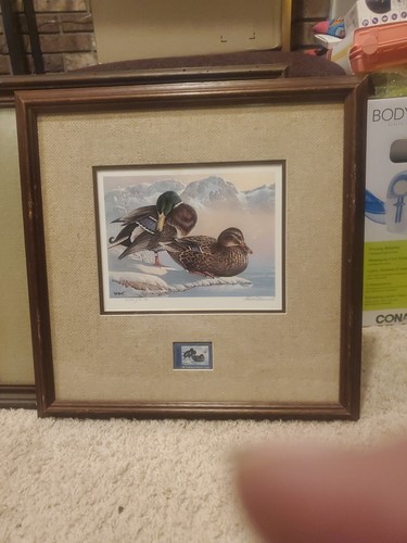 1986 washington waterfowl - 1986,
