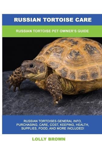 Lolly brown russian tortoise - lolly,