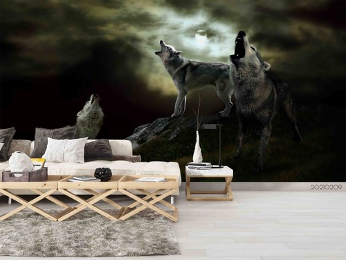 Sky moon wolf night view - sky,
