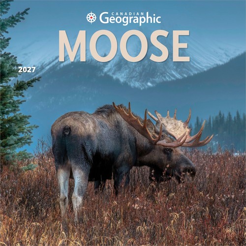 Canadian geographic moose - canadian,