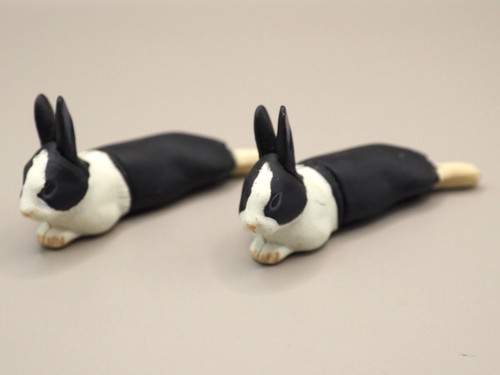 Dutch rabbit animal - dutch, mini