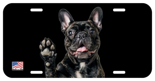 French bulldog brindle - bulldog, waving