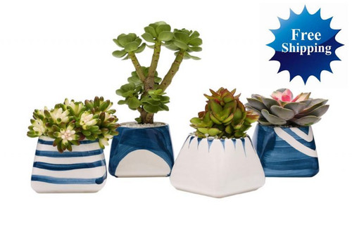 Ceramic succulent planter - succulent, pots