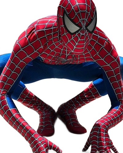 Classic spiderman costume - 3d,