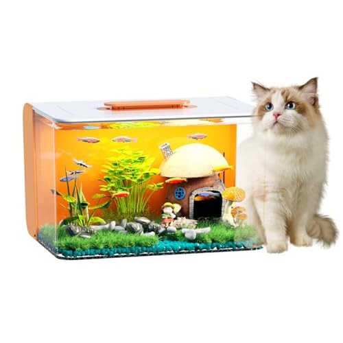 Gallon fish tank starter - 2.5,