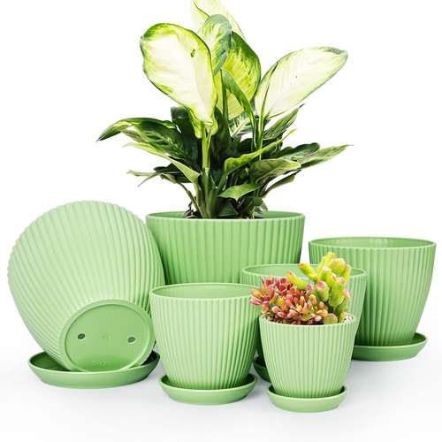Plant pots indoor - plant,