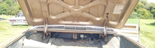 Trunk hinges torsion springs - hinges,