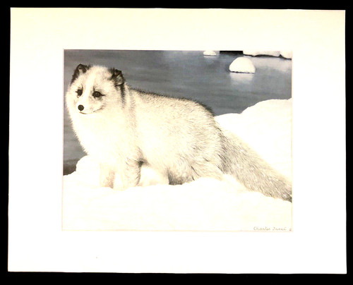 Charles frace alaskan - charles,