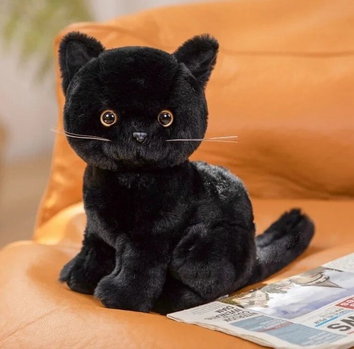 Black kitten cat inch - kitten,