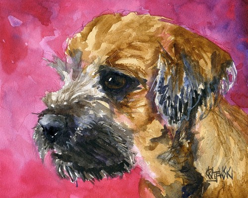 Border terrier print - terrier,