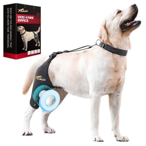 Dog knee brace - for, acl